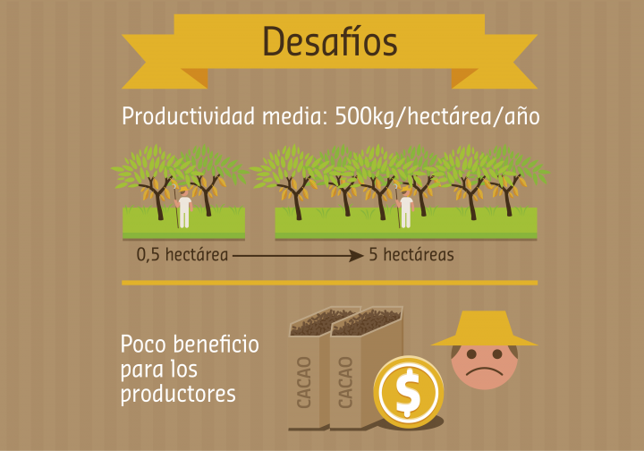 Mantenimiento de los medios de vida = Cadena de suministro de cacao sostenible