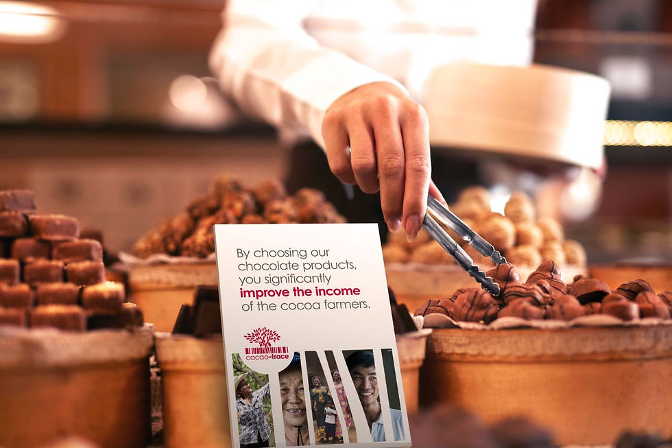 Cacao-Trace-Homepage-Consumer benefit-Chocolate lover-1280x1280.jpeg