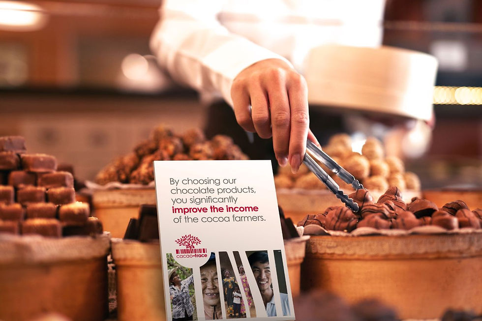 Cacao-Trace-Homepage-Consumer benefit-Chocolate lover-1280x1280.jpeg