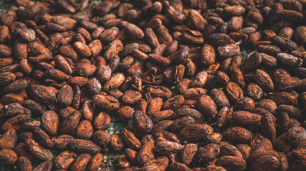 Cacao-Trace-Great-Taste-Creating-Value-Through-Taste-Thumbnail-1280x1280.jpeg