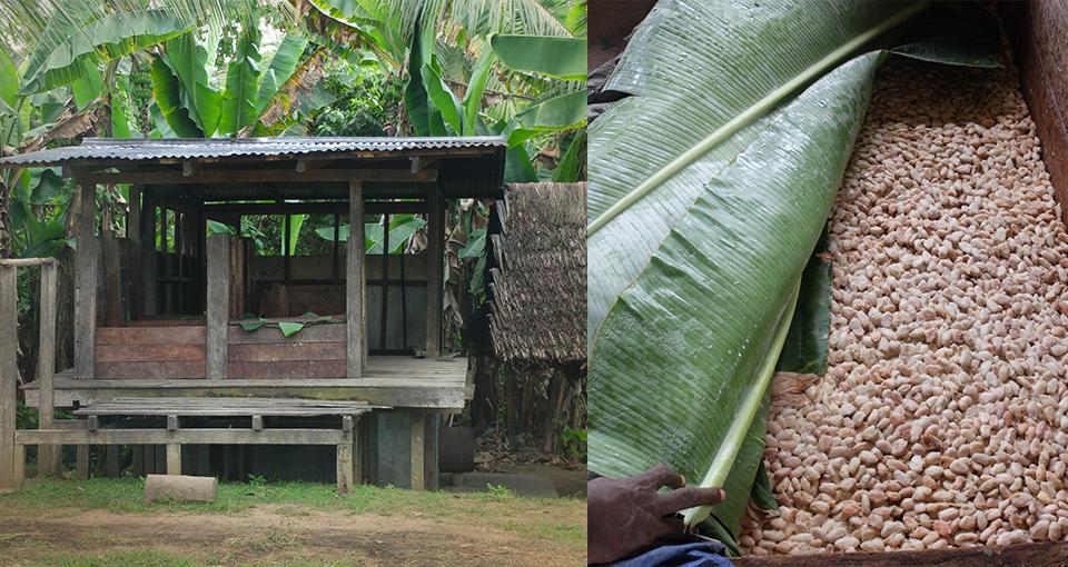  Lancio di Cocoa-Trace in Papua Nuova Guinea