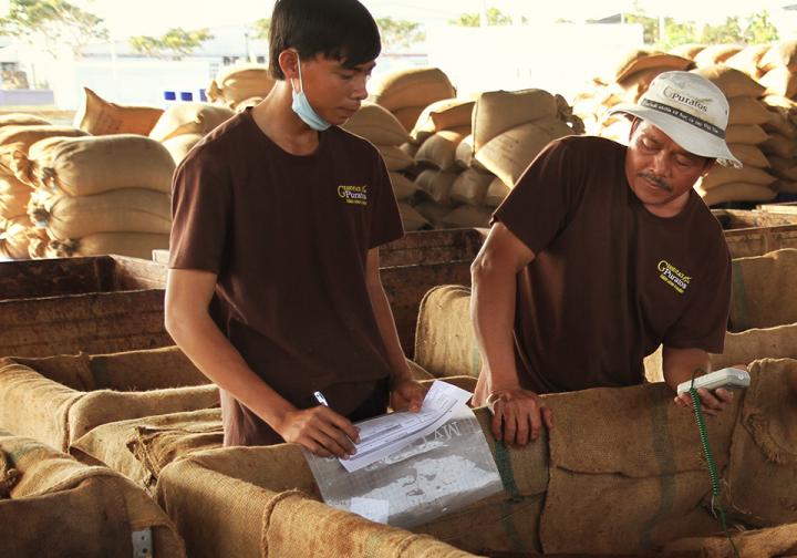 Chocolade gemaakt door fermentatie-experts