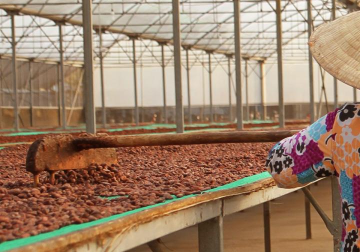 Cioccolato fatto da fermentatori esperti