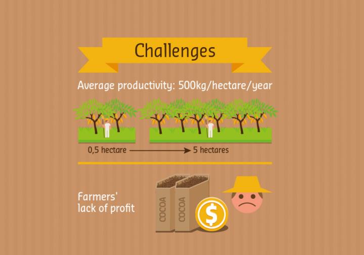 Sustaining livelihoods = A sustainable cocoa supply chain