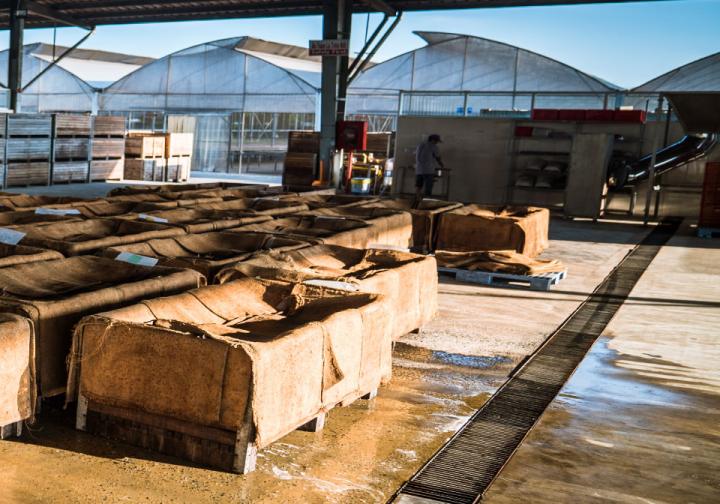 Een unieke wereld met uitzonderlijke chocolade