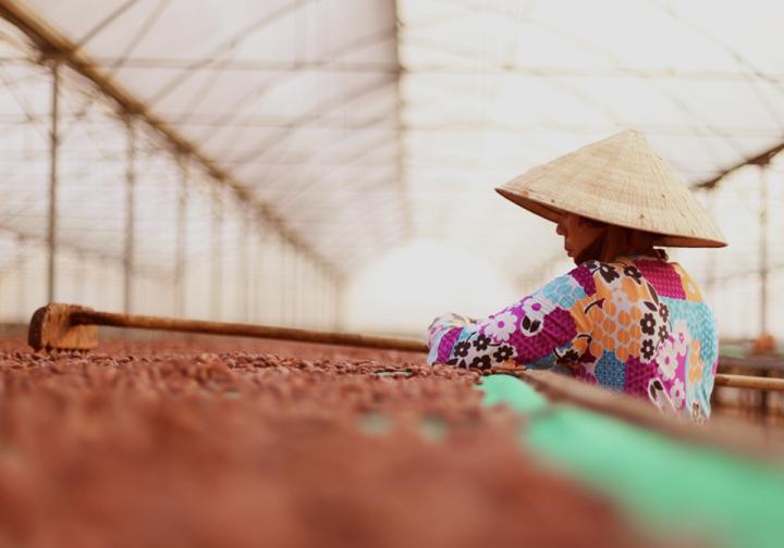 可可追溯計畫: 越南 農民的生活狀況