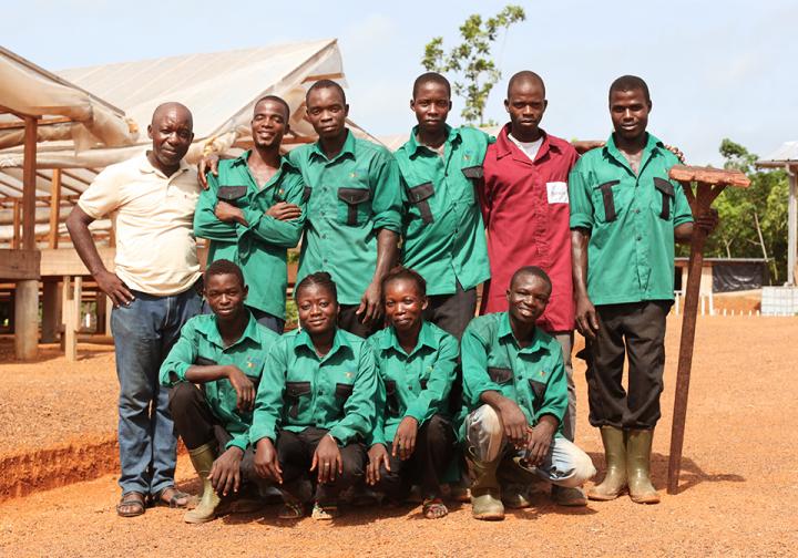 The reality of cocoa farming in Ivory Coast